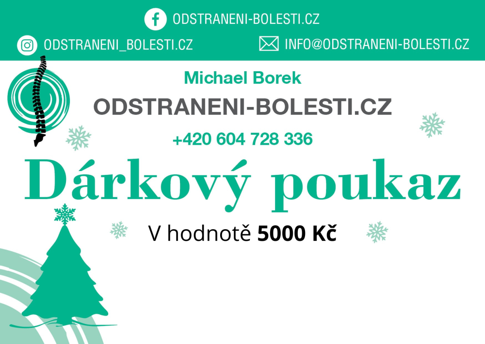 Vánoční dárkový poukaz v hodnotě 5000 Kč