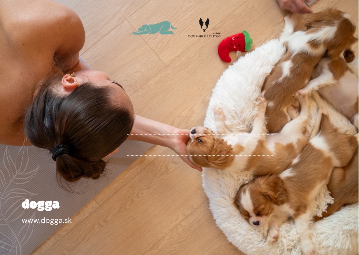 Happy birthday (private puppy yoga)