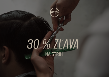 30 % ZĽAVA NA STRIH