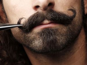 PROFI_BARBER - Úprava brady / Szakállápolás / Beard grooming
