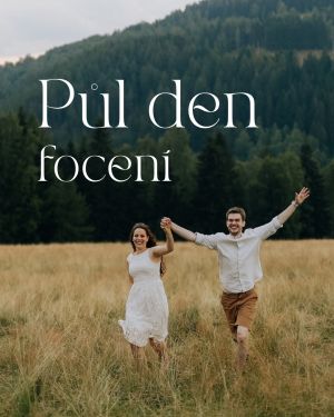 Půldenní