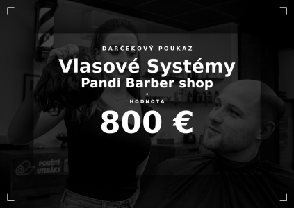 Uplatnenie poukážky Vlasový Systém 