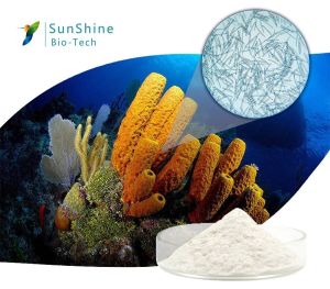 SQT Biomicroneedling