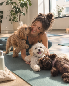 Miniature & Toy Poodle SK/EN | Dogga Therapy | 17.10. & 18.10.2026