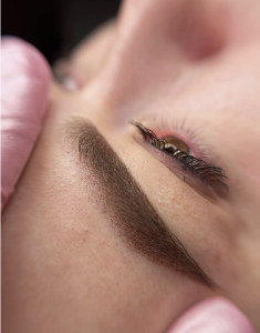 PowderBrows
